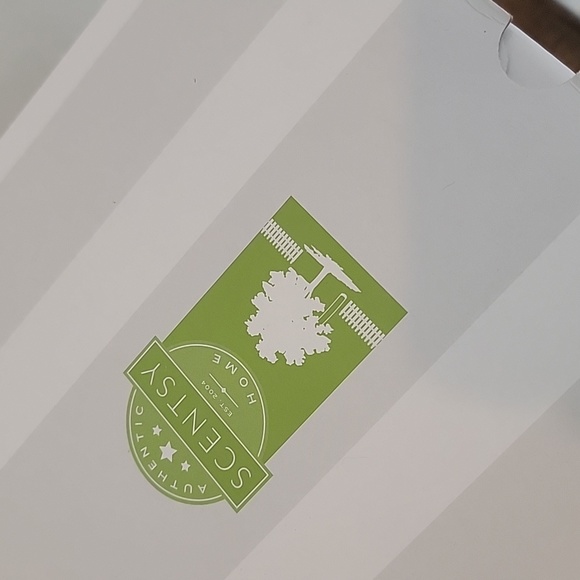 Scentsy Warmer Classic Curve Gray - Picture 3 of 4